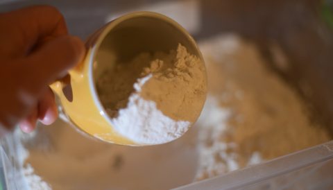 Fresh Yeast vs. Dry Yeast qualities, differences and conversion